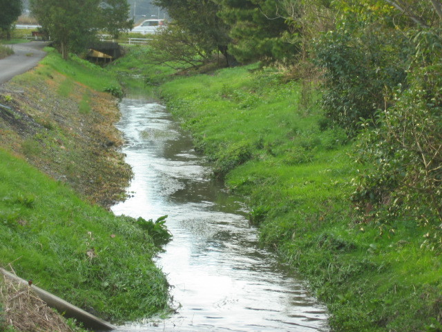 f:id:Dr-Seton:20091114161954j:image