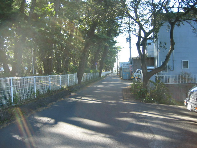 f:id:Dr-Seton:20091115112947j:image