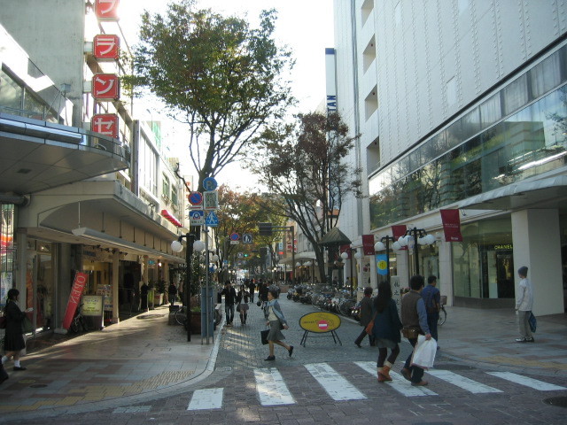f:id:Dr-Seton:20091115143919j:image