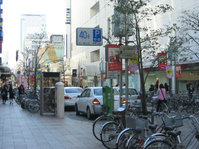 f:id:Dr-Seton:20091121113956j:image