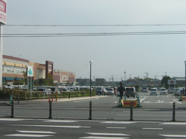 f:id:Dr-Seton:20101113130154j:image