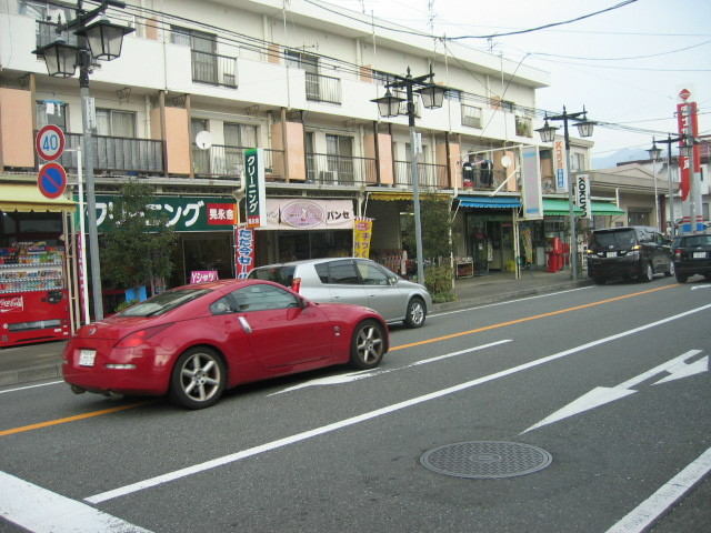 f:id:Dr-Seton:20101113140223j:image