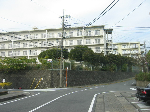 f:id:Dr-Seton:20101113140341j:image