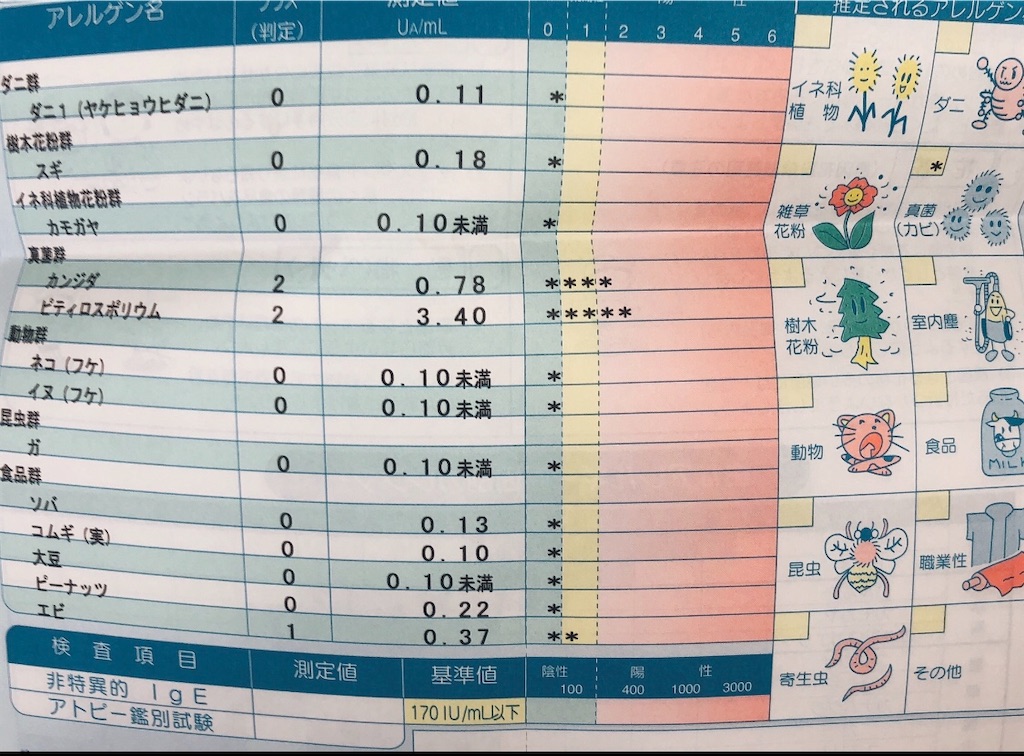 f:id:Dr-mochi:20201105204517j:image