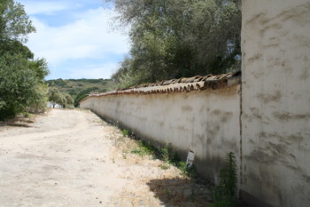 Walls