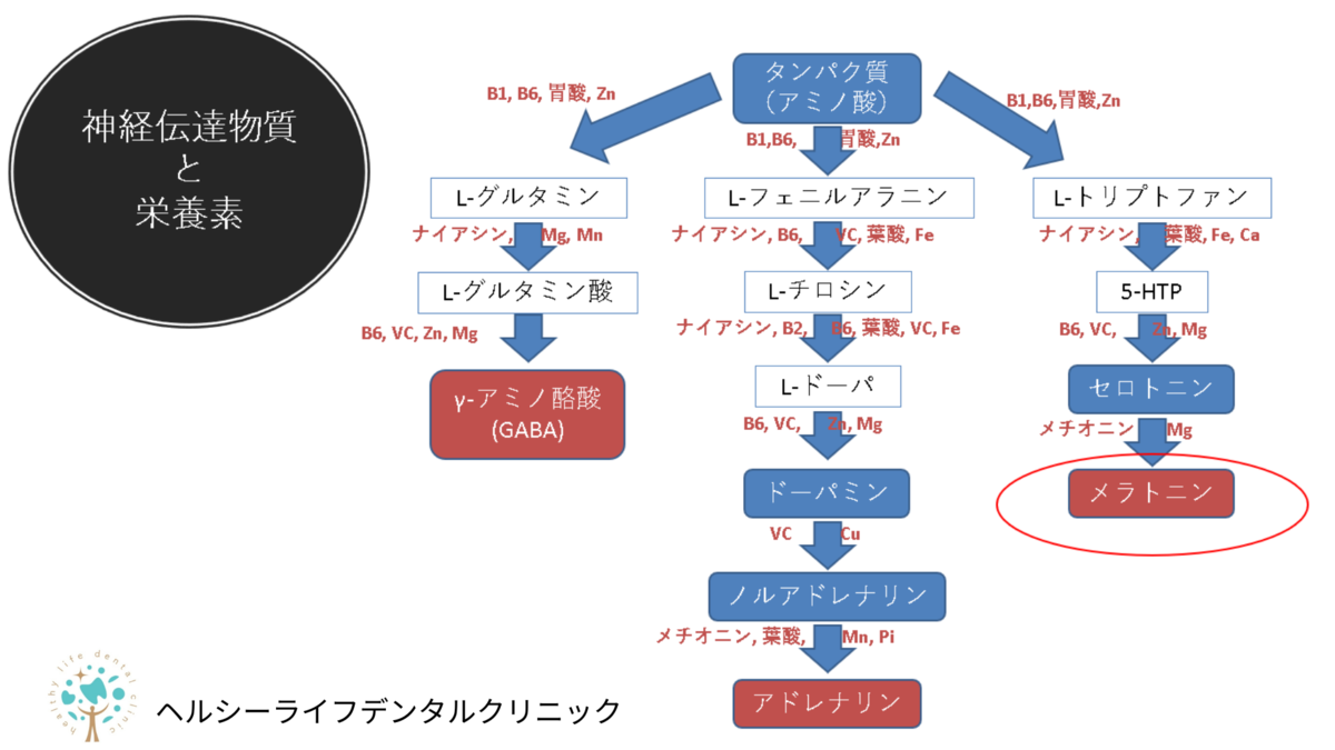 f:id:DrMitsukiTezuka:20201124100913p:plain