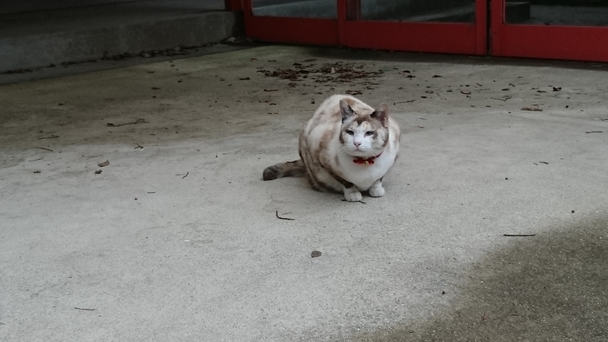 f:id:DrakeSmallbig:20190812124634j:plain f:id:DrakeSmallbig:20190812124634j:plain