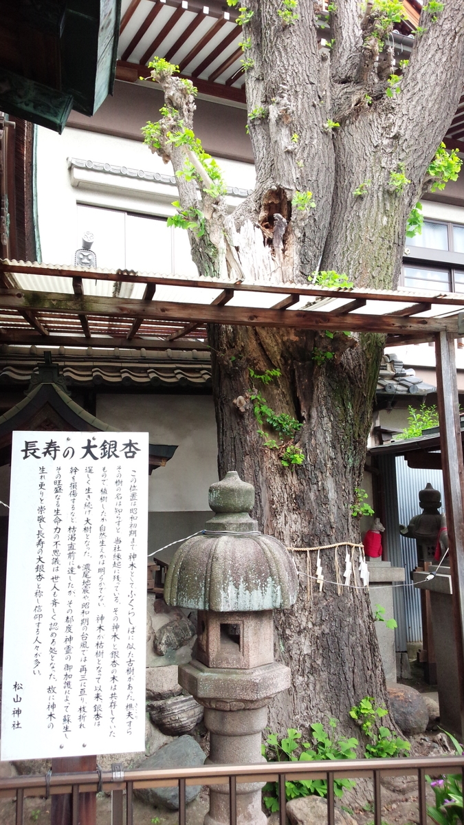 f:id:DrakeSmallbig:20190813223504j:plain f:id:DrakeSmallbig:20190813223504j:plain