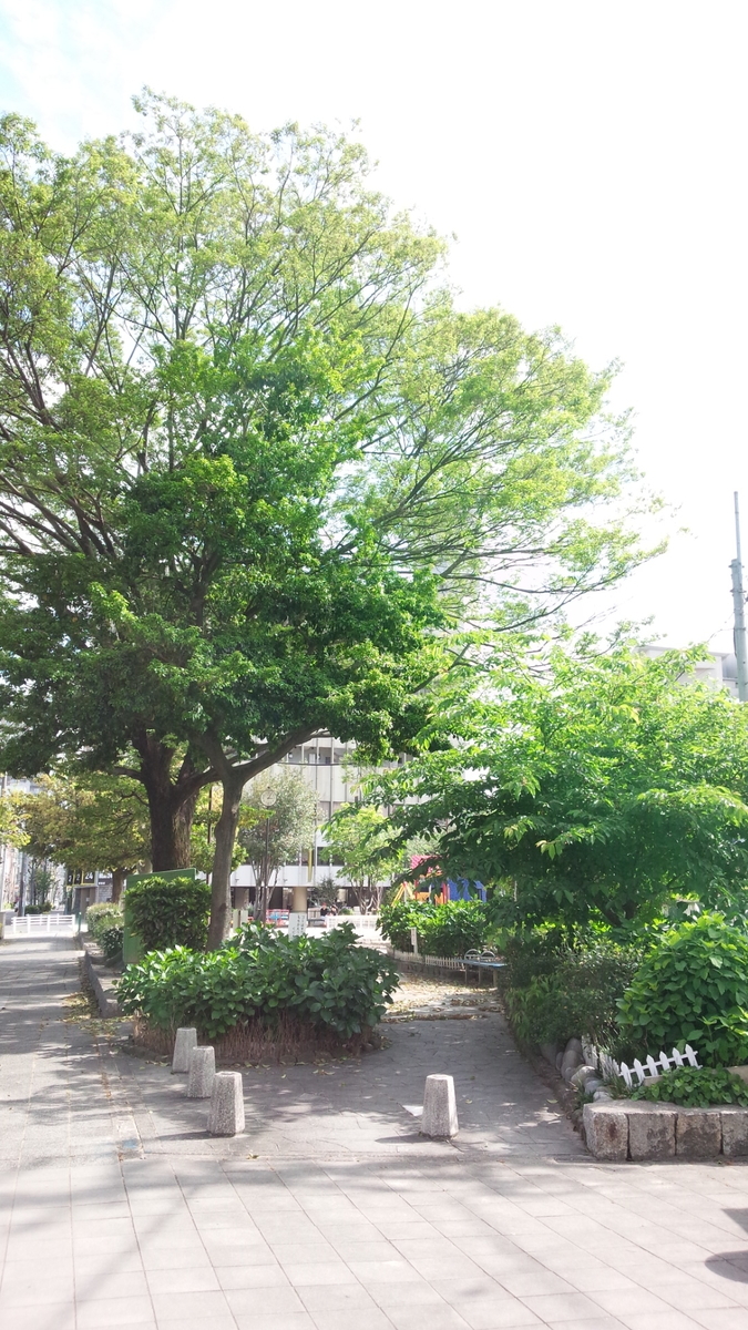 f:id:DrakeSmallbig:20190813225012j:plain f:id:DrakeSmallbig:20190813225012j:plain