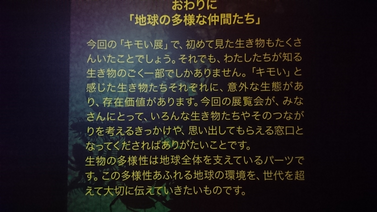 f:id:DrakeSmallbig:20211218190653j:plain