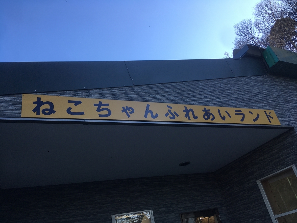 f:id:DreamMaker810:20220111132824j:plain