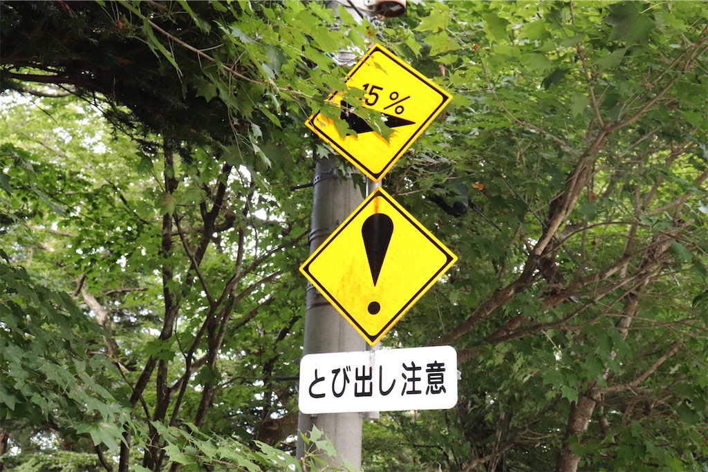 f:id:Dream_Liner787:20200919214738j:image