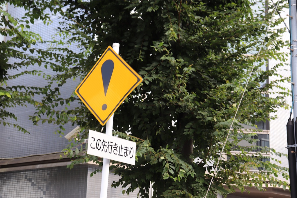 f:id:Dream_Liner787:20200920194507j:image