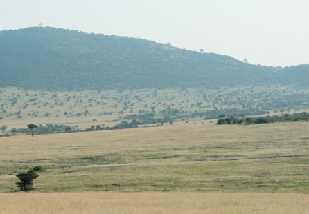 f:id:DreamerDream:20190412105608p:plain f:id:DreamerDream:20190412105608p:plain