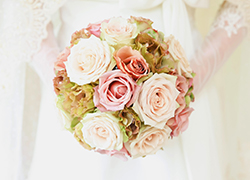 f:id:Dress-coordinator:20170328114509j:plain