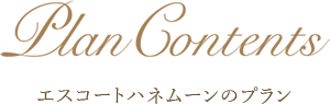 ビューティフルツアーのエスコートプラン受付状況