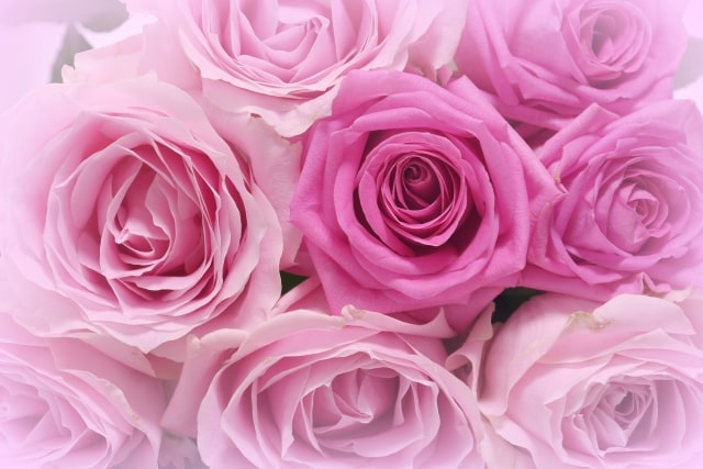 ふんわりとしたバラの花束