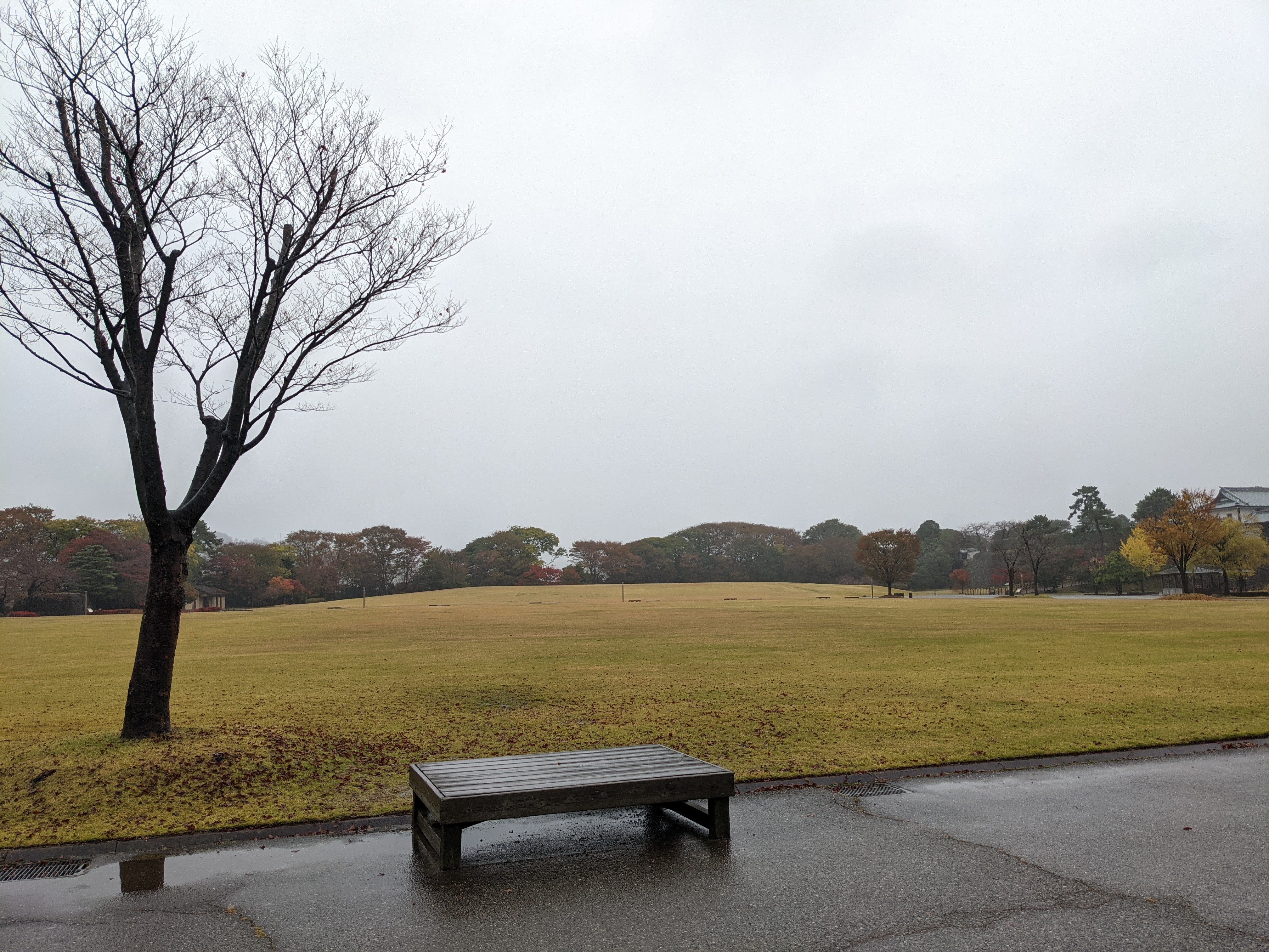 f:id:Drip001:20211111021241j:image
