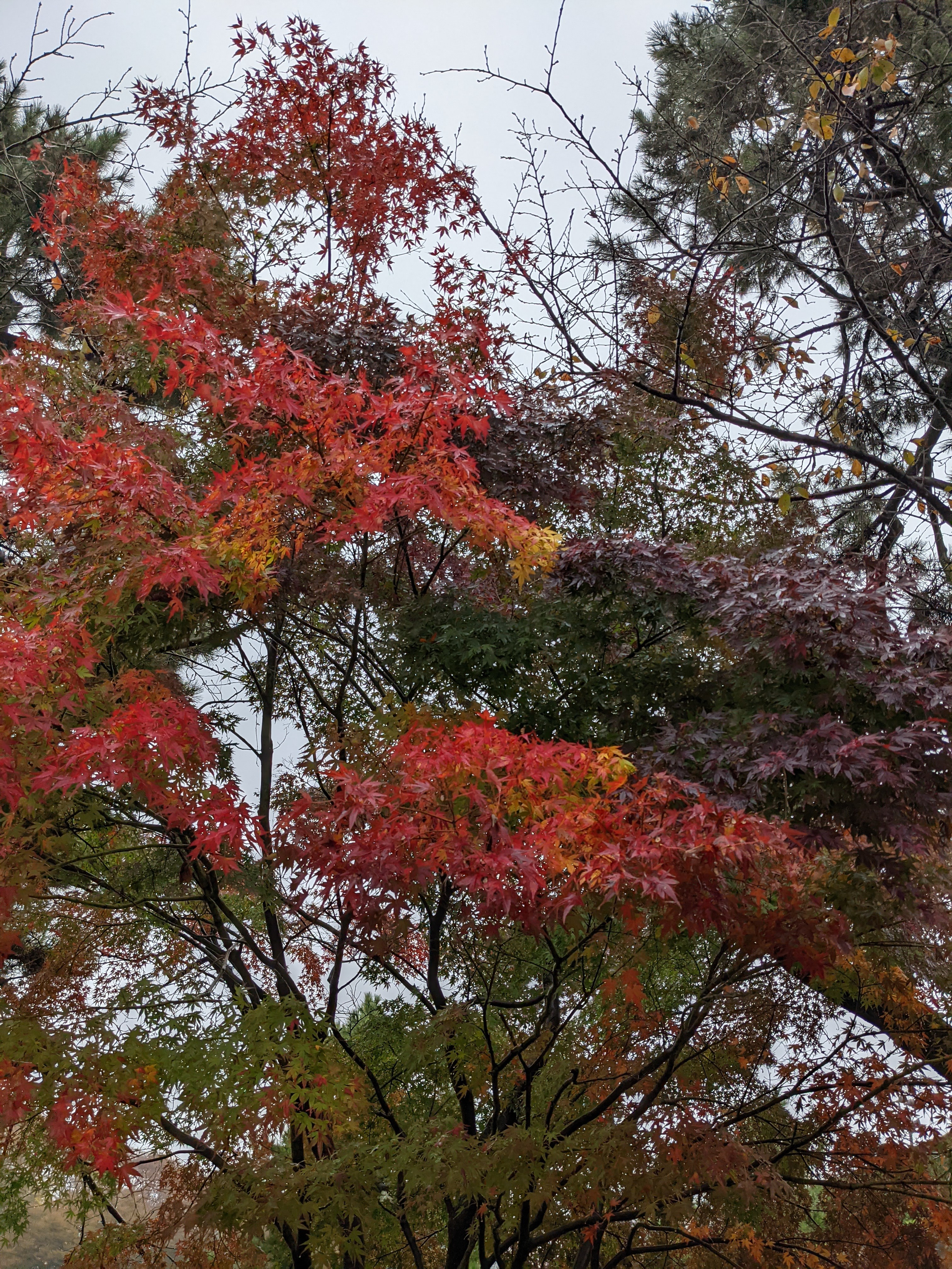 f:id:Drip001:20211111021341j:image