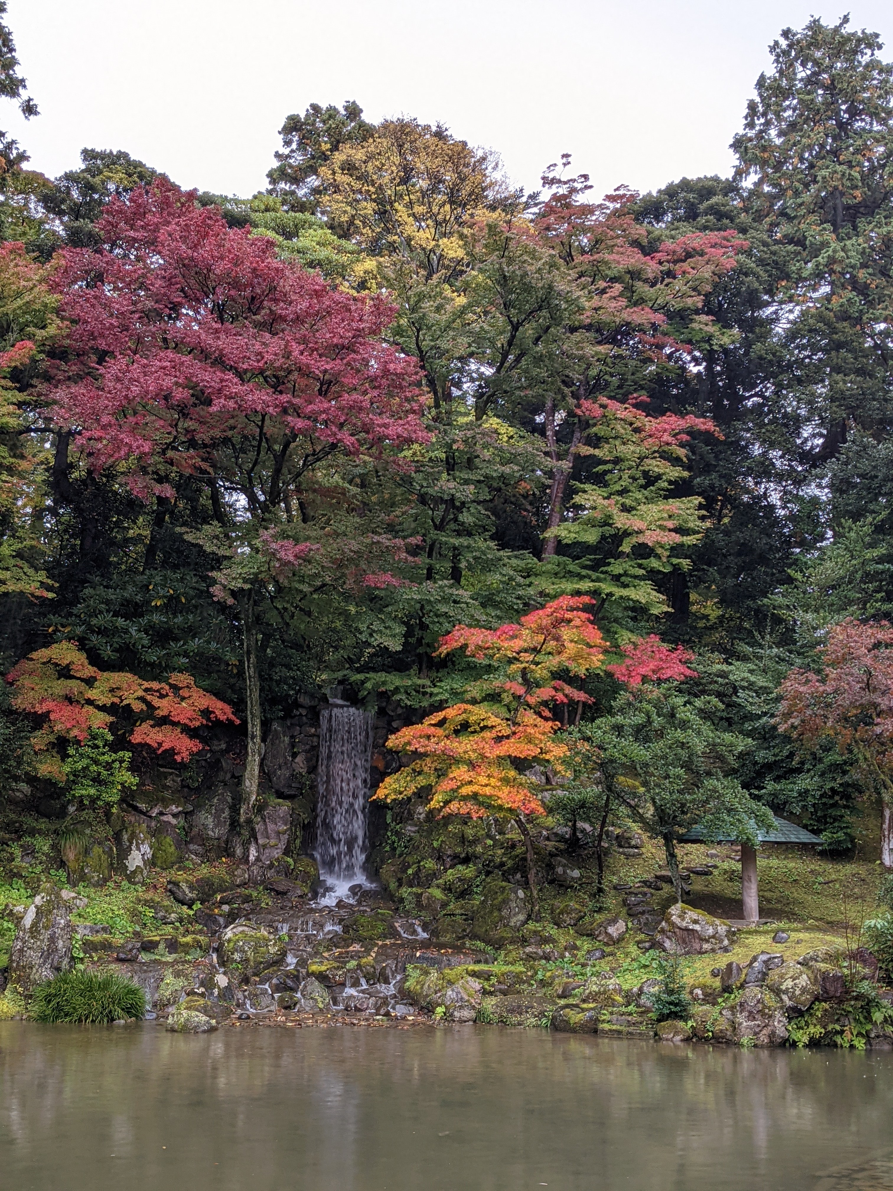 f:id:Drip001:20211111021727j:image