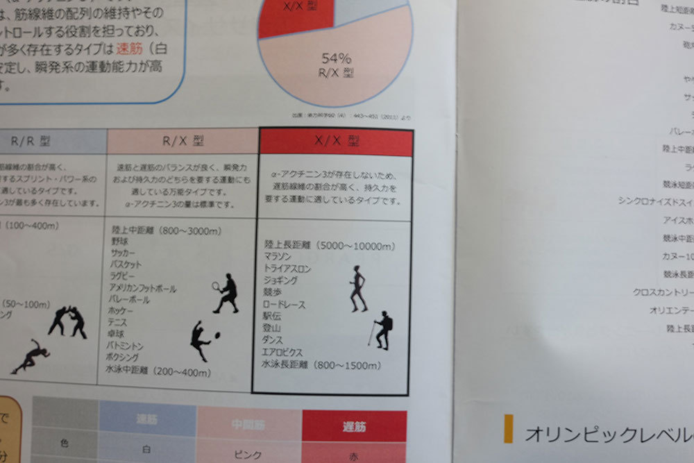 ダンクができるようになりたい はてなブログ