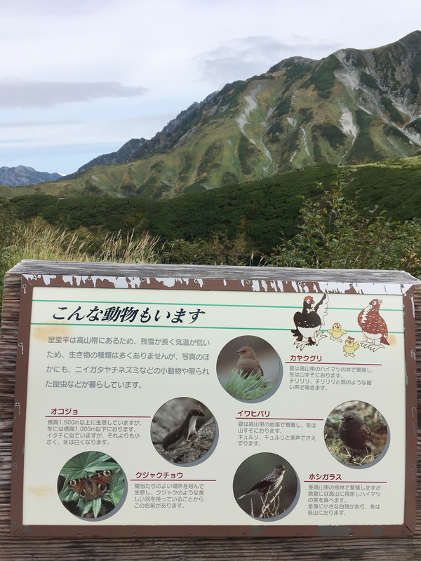 f:id:Duo_Camper:20180930073741j:plain f:id:Duo_Camper:20180930073741j:plain