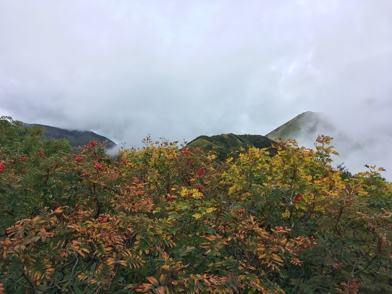 f:id:Duo_Camper:20180930073743j:plain f:id:Duo_Camper:20180930073743j:plain
