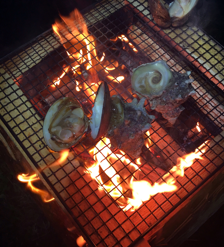 f:id:Duo_Camper:20190106114813j:plain f:id:Duo_Camper:20190106114813j:plain