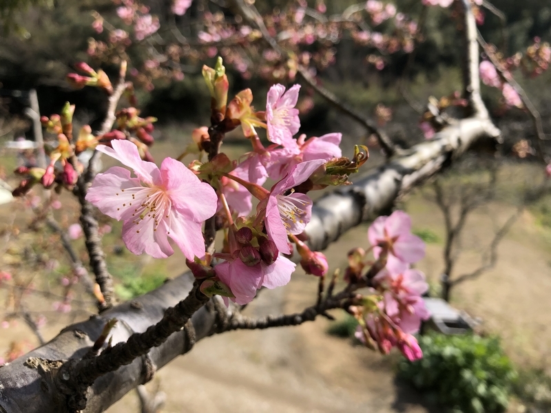 f:id:Duo_Camper:20190223155715j:plain f:id:Duo_Camper:20190223155715j:plain