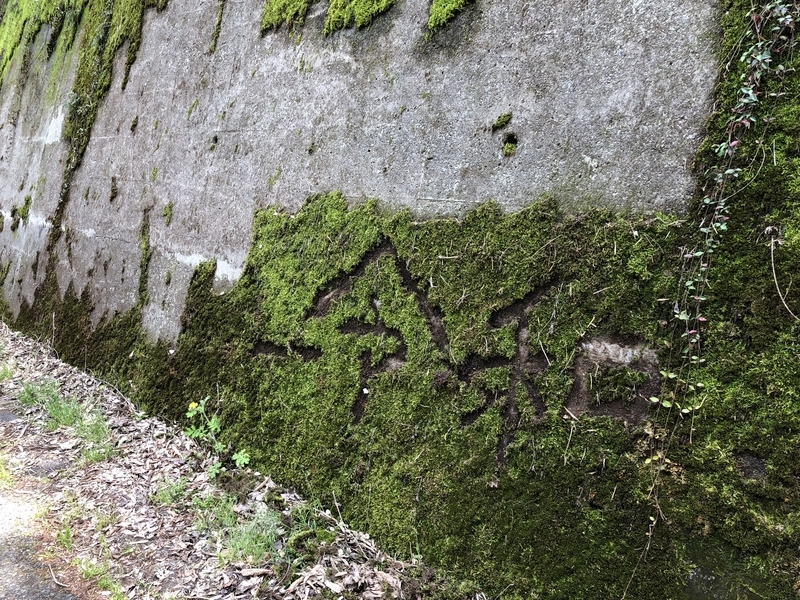 f:id:Duo_Camper:20190508164321j:plain f:id:Duo_Camper:20190508164321j:plain