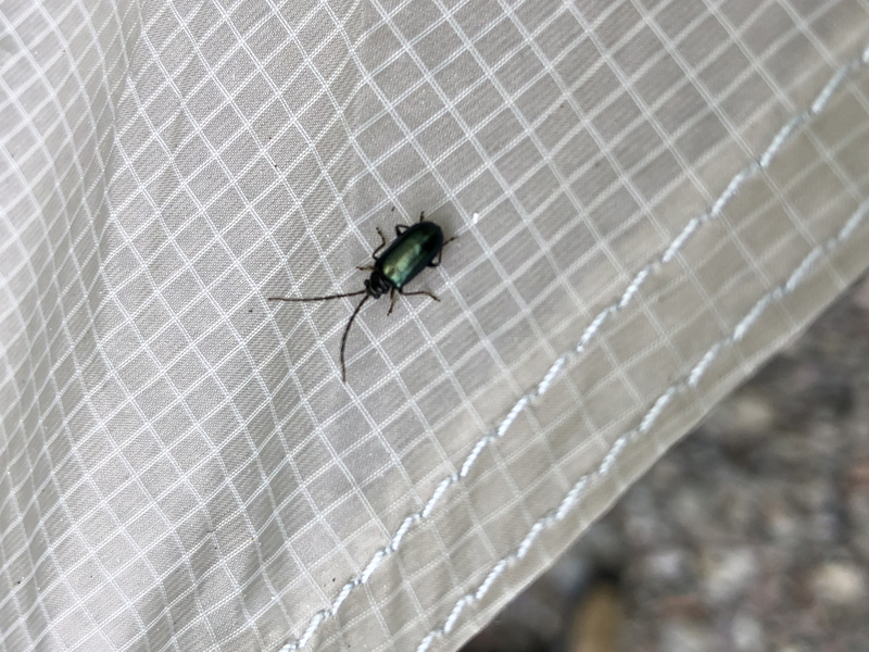 f:id:Duo_Camper:20190508164324j:plain f:id:Duo_Camper:20190508164324j:plain