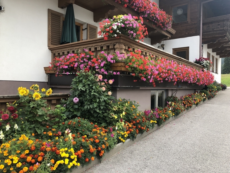 f:id:Duo_Camper:20190908164807j:plain f:id:Duo_Camper:20190908164807j:plain