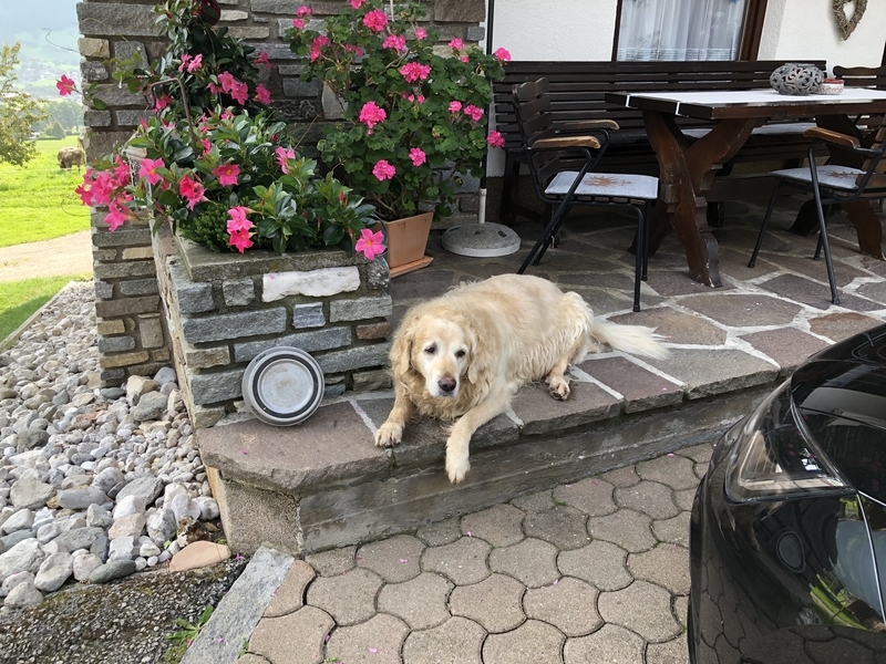 f:id:Duo_Camper:20190908164921j:plain f:id:Duo_Camper:20190908164921j:plain