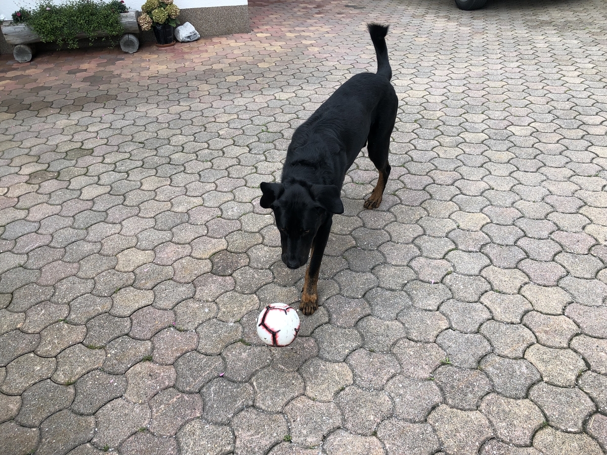 f:id:Duo_Camper:20190910135037j:plain f:id:Duo_Camper:20190910135037j:plain