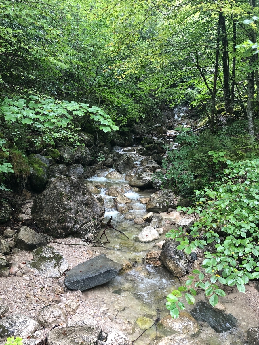 f:id:Duo_Camper:20190917183736j:plain f:id:Duo_Camper:20190917183736j:plain