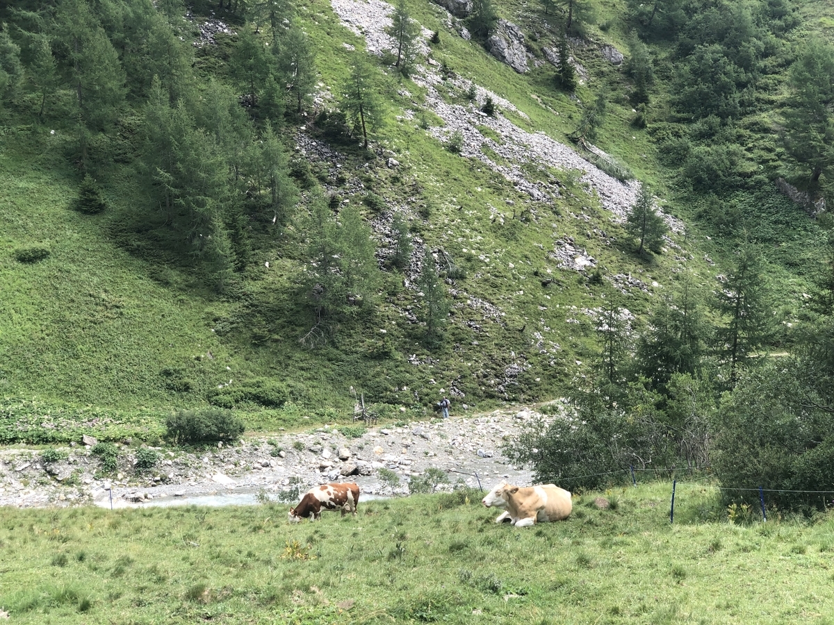 f:id:Duo_Camper:20190917203707j:plain f:id:Duo_Camper:20190917203707j:plain