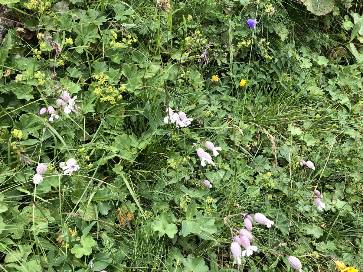 f:id:Duo_Camper:20190917205238j:plain f:id:Duo_Camper:20190917205238j:plain