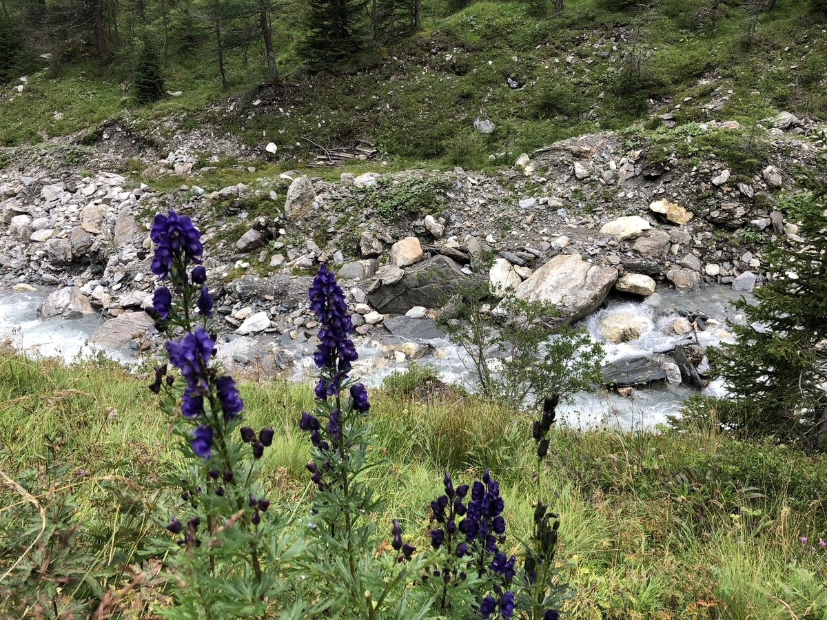 f:id:Duo_Camper:20190917205305j:plain f:id:Duo_Camper:20190917205305j:plain
