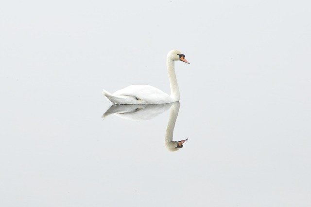 f:id:E-sigma:20201222173606j:plain