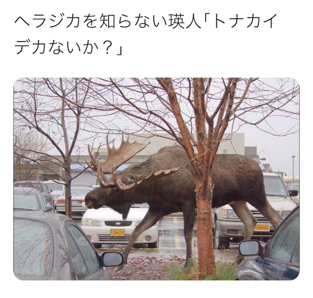 f:id:E-ve:20210524075510j:image