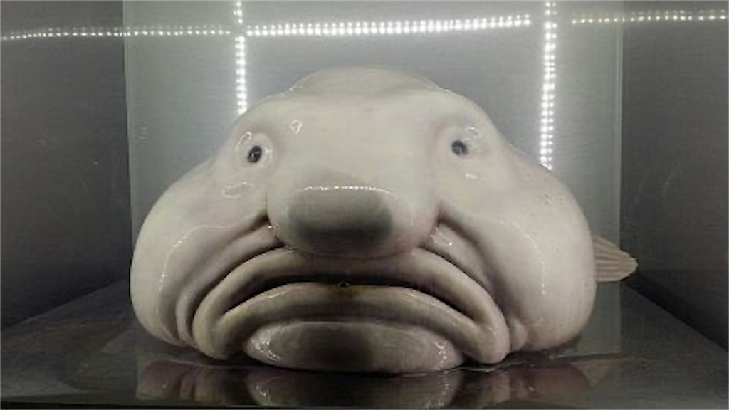 f:id:E-ve:20221117002054p:image f:id:E-ve:20221117002054p:image