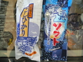 ホタルイカミュージアム