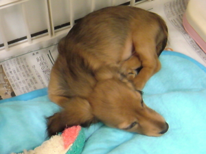f:id:EAST-HIRO:20080901082748j:image