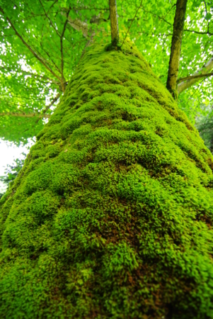f:id:EAST-HIRO:20100526081711j:image