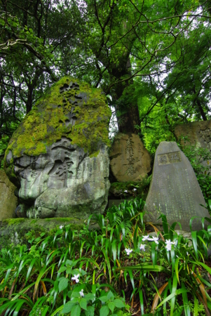 f:id:EAST-HIRO:20100526081726j:image