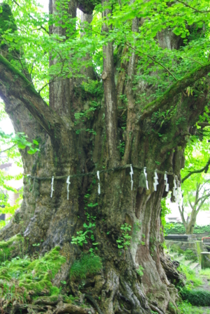 f:id:EAST-HIRO:20100526081740j:image
