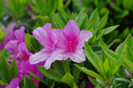 f:id:EAST-HIRO:20100526082335j:image