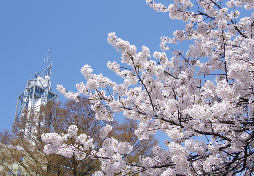 f:id:EAST-HIRO:20110413091850j:image