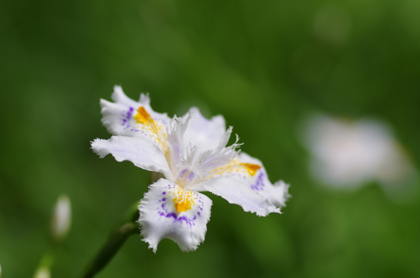 f:id:EAST-HIRO:20110510161634j:image