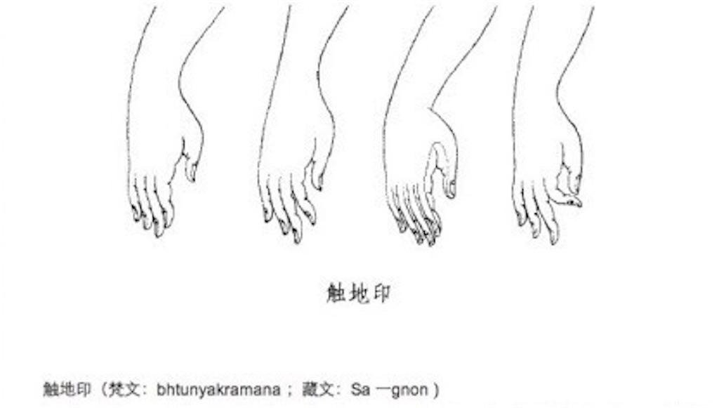 f:id:EBI7676:20240810001205j:image f:id:EBI7676:20240810001205j:image